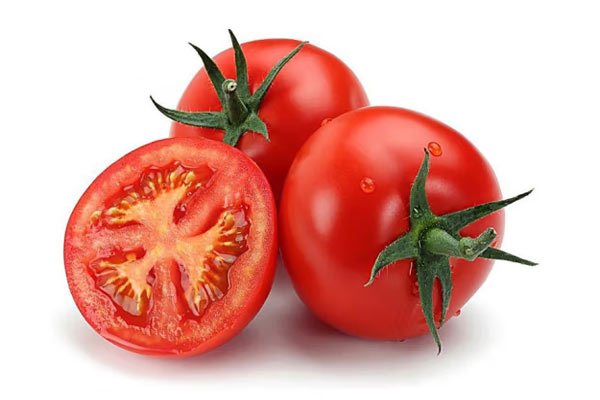 在标准光源箱中鉴定番茄果实的颜色