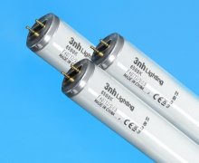 标准光源灯管价格多少钱？