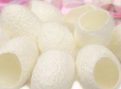 标准光源箱评定蚕丝颜色差异